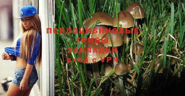 хмурый Гусь-Хрустальный
