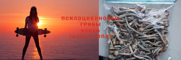 MESCALINE Гусев