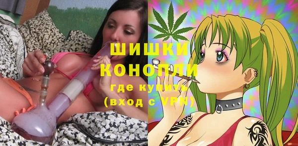 хмурый Гусь-Хрустальный