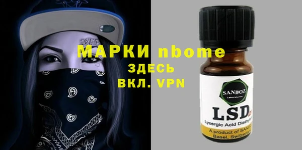 хмурый Гусь-Хрустальный