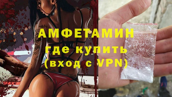 хмурый Гусь-Хрустальный
