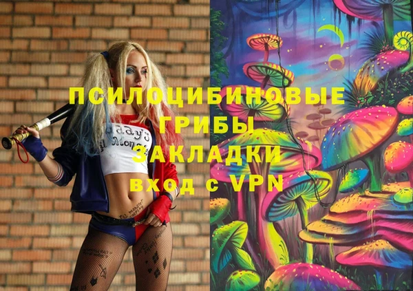 spice Заводоуковск