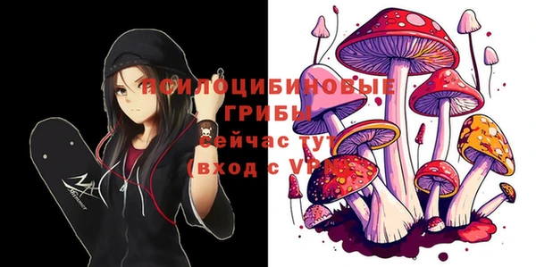 хмурый Гусь-Хрустальный