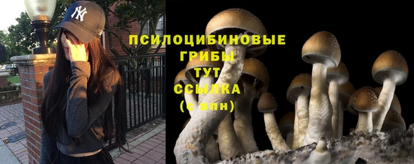 хмурый Гусь-Хрустальный